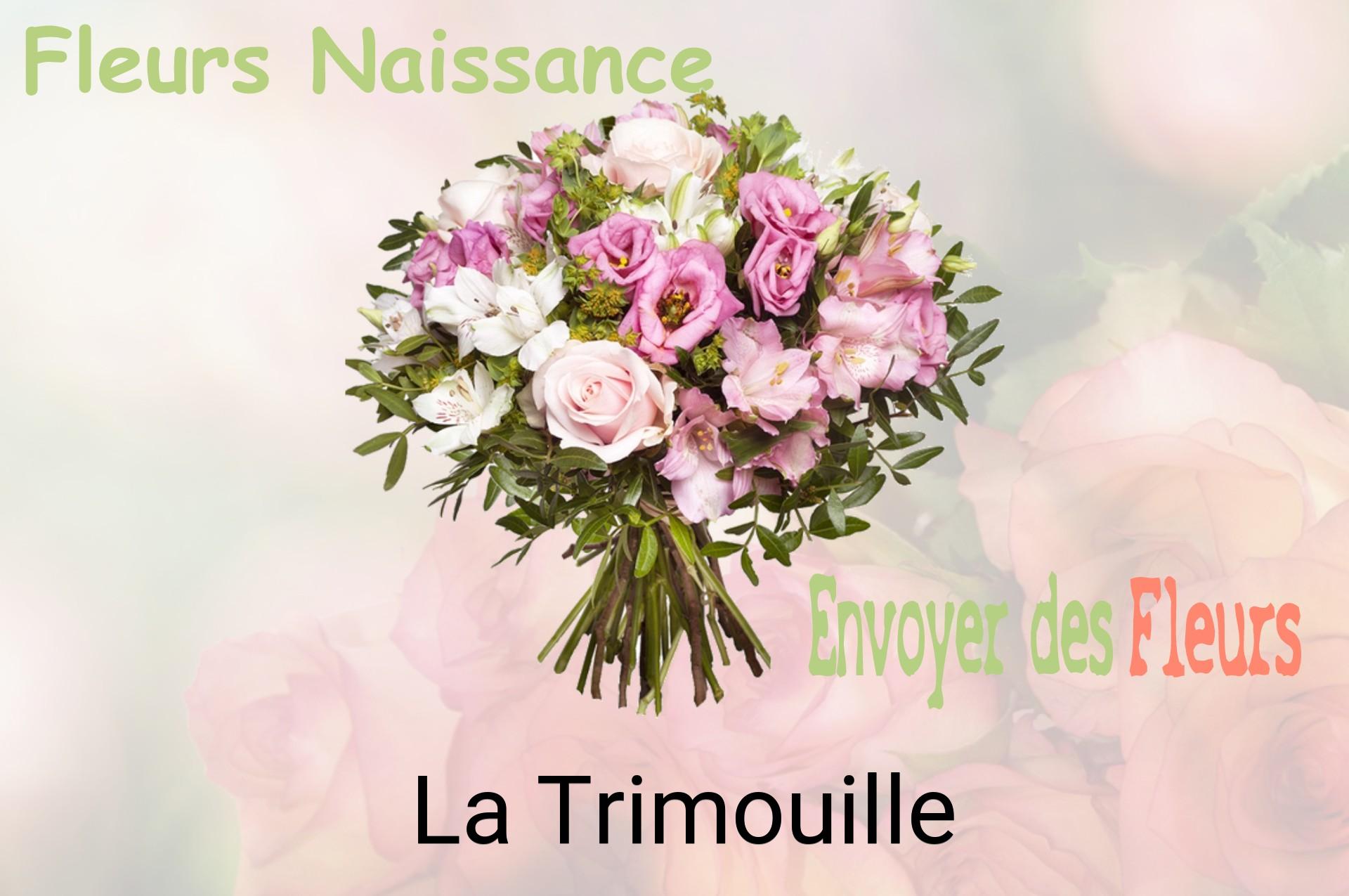 Bouquet de fleurs de naissance livré à La Trimouille