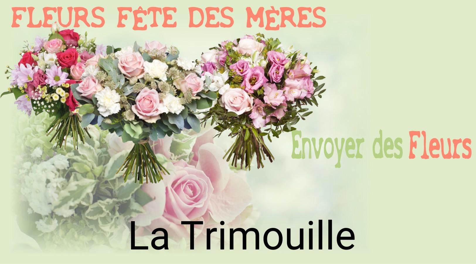 Bouquet de Fête des Mères livré à La Trimouille